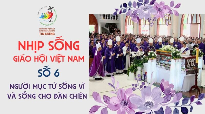 Nhịp Sống Giáo Hội Việt Nam – Số 6 ( 03/01 – 10/02)